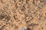 231015A-162542-09335