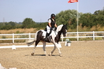 SBM_009242