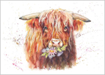 Mazie the Highland Cow 822