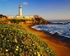 Istock #14677626