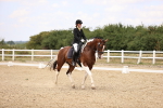 SBM_008767