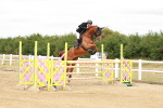 SBM_017295