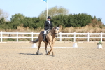 SBM_012493