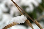 Snow - 24