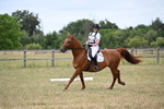 WJ6_0433
