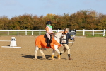 SBM_000323