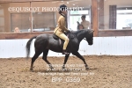 BPP_0369