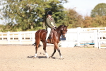 SBM_12549