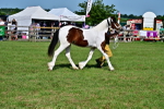 SBM_10030