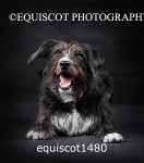 equiscot1480