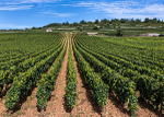 France Landscape8