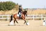 SBM_016929