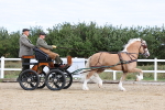 SBM_000737