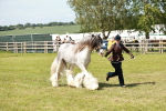 SBM_08577