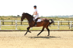 SBM_001489