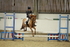 AJG_3861