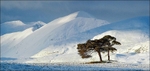 Mountain Light
