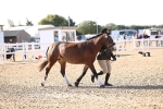 SBM_08475