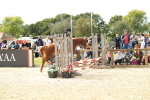 SBM_46221