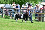 SBM_03639