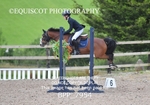 BPP_7954