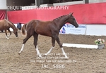 JAC_5886