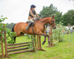 Dunblane show-327