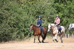 WJ6_8815
