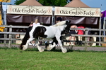 SBM_10093