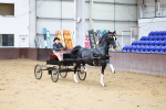SBM_001021