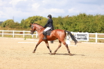 SBM_011784