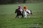 SHETPR 210425 80