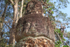 Stone faces at the Bayon complex at Ankor Wat in Cambodia