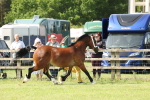 SBM_02219