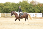 SBM_000576