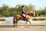 SBM_01106