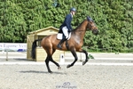 432-SCEILIG_CONCORDIO-Rowan_Laird-DR portfolio