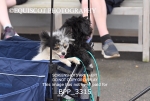 BPP_3315
