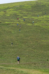 Blencathra-98