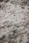 SBM_003423
