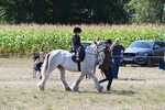 WJ6_7916