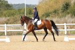 SBM_018585