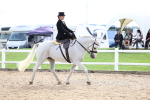 SBM_03455