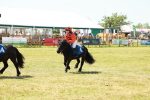 SBM_17344