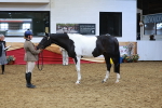 SBM_09796