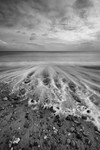Dawlish Beach