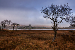 Marshland.