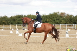 SBM_009423