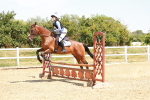 SBM_003848