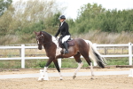 SBM_003609